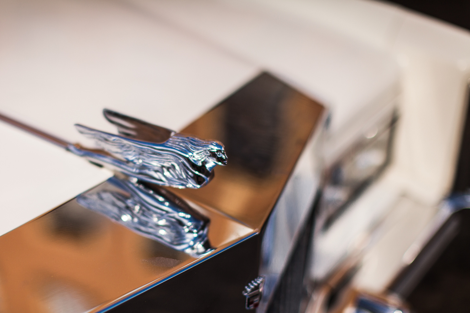 ПОЛИНА И БЕННИ