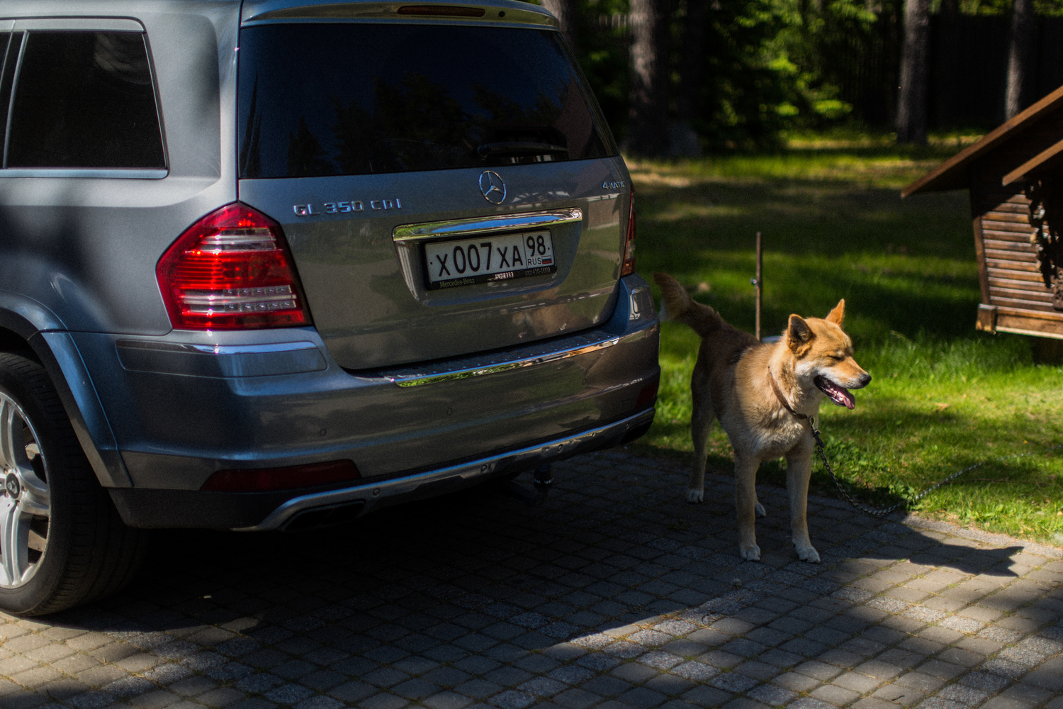 АРТУРУ 6 ЛЕТ