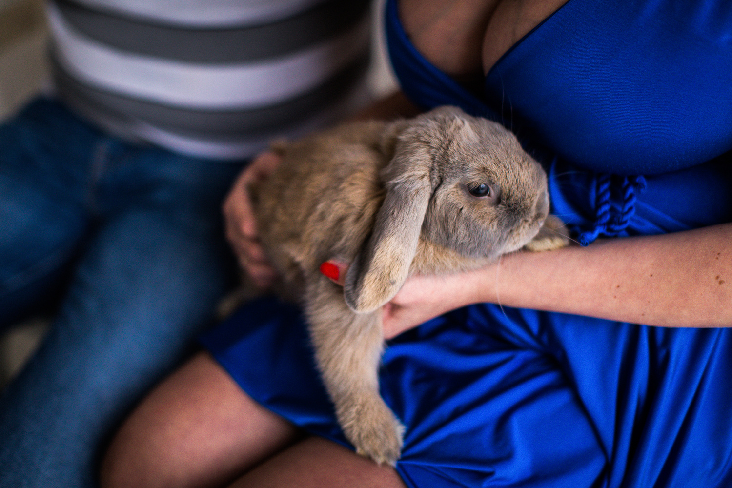 ОЛЯ, ДИМА И КРОЛ!