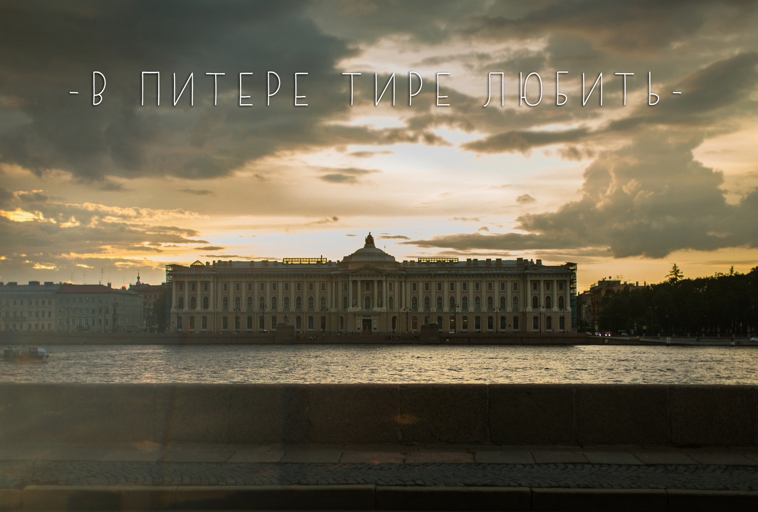 В ПИТЕРЕ ТИРЕ ЛЮБИТЬ