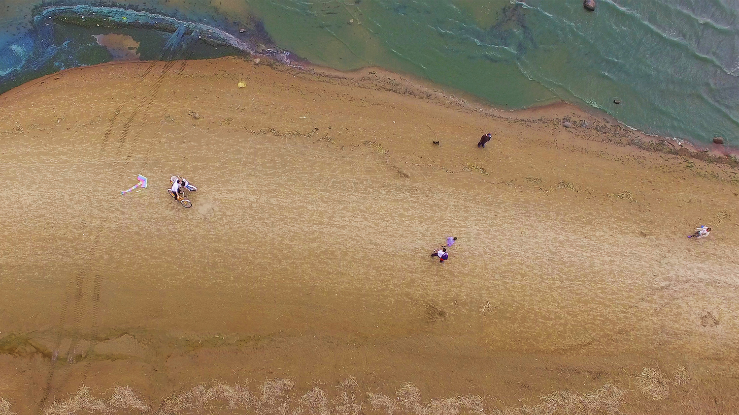 В ПИТЕРЕ ТИРЕ ЛЮБИТЬ