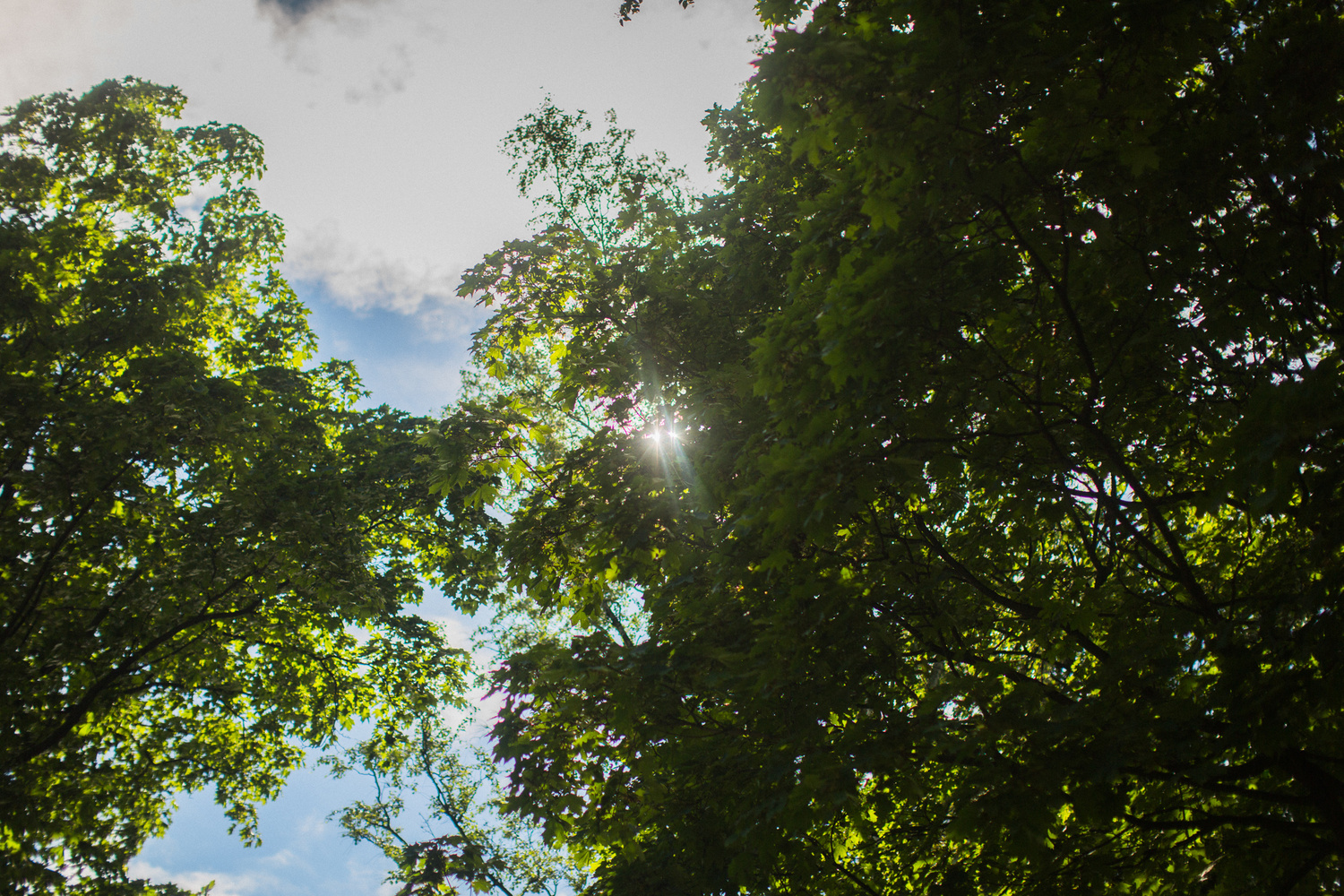 КРЕЩЕНИЕ ВАСИЛИСЫ