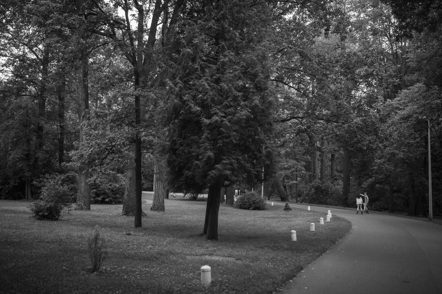 ДАША + ДИМА + РОЛИКИ