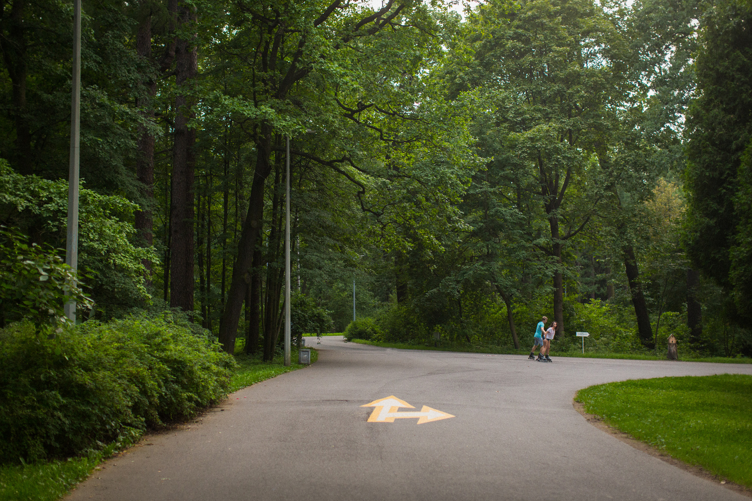 ДАША + ДИМА + РОЛИКИ