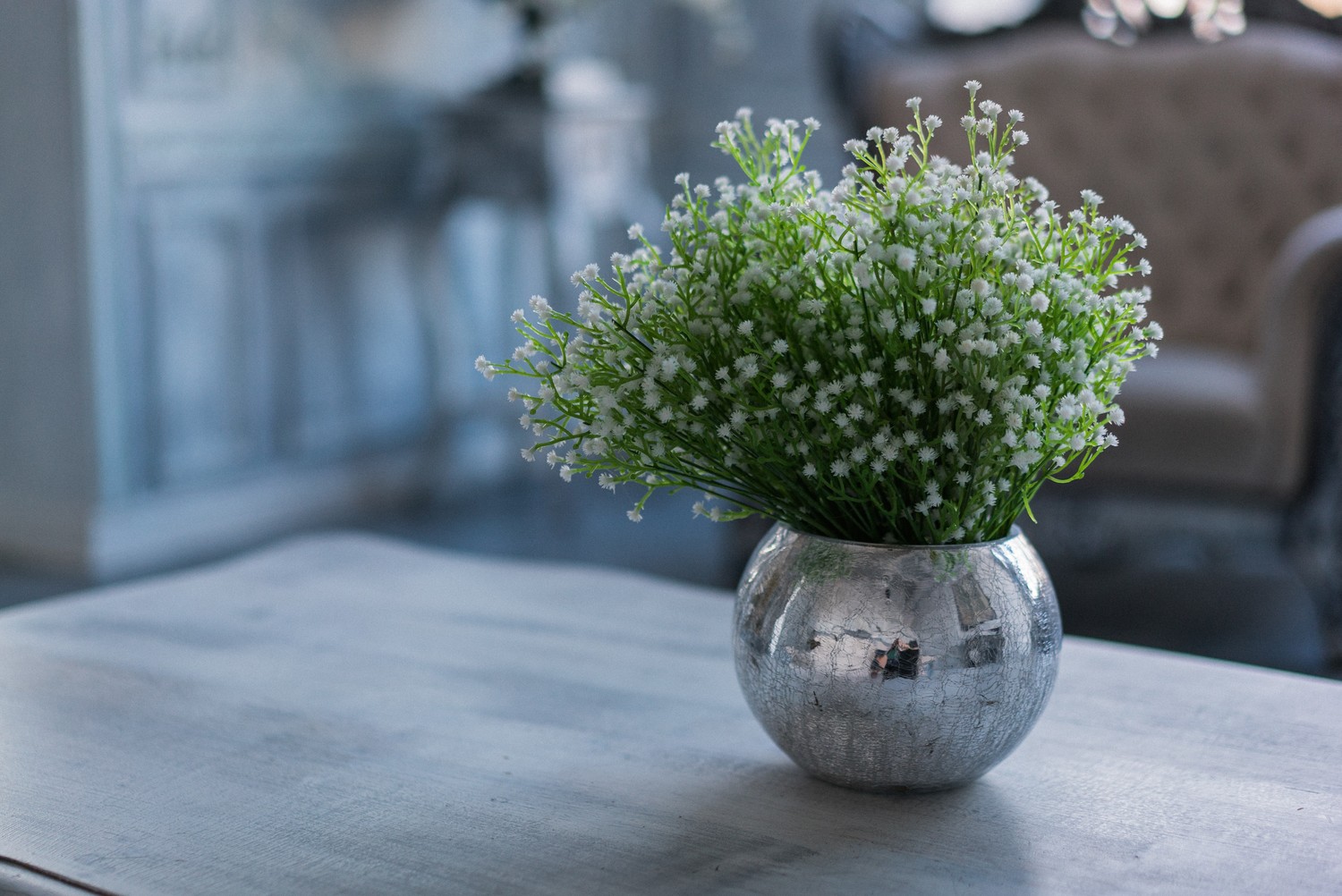 ЭЛЬВИРА И РАШАД