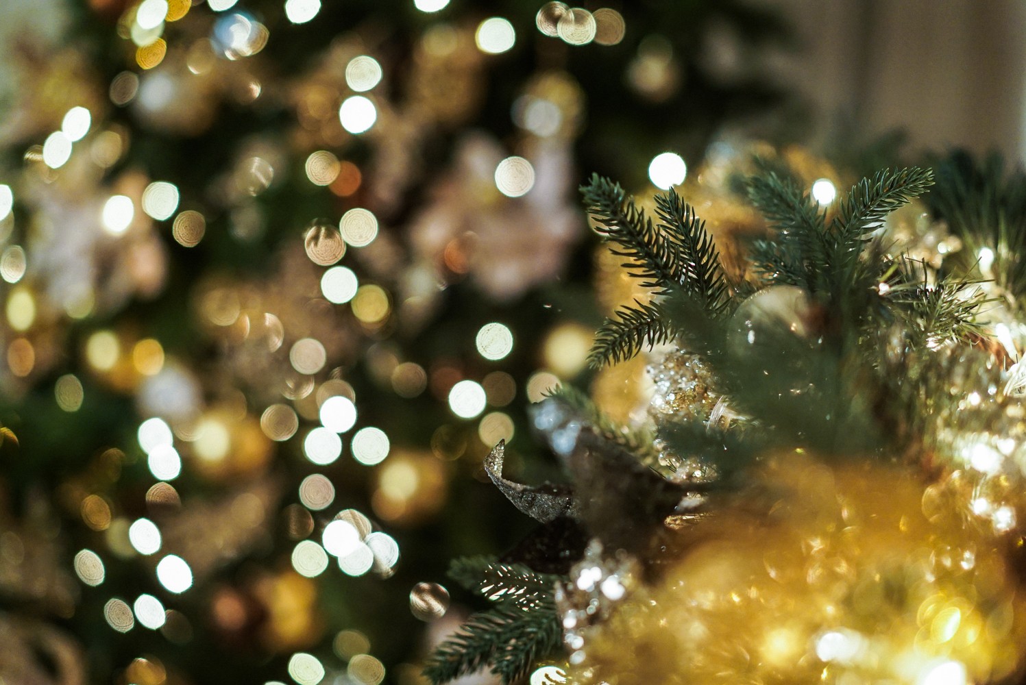 СЕМЕЙНЫЙ НОВЫЙ ГОД