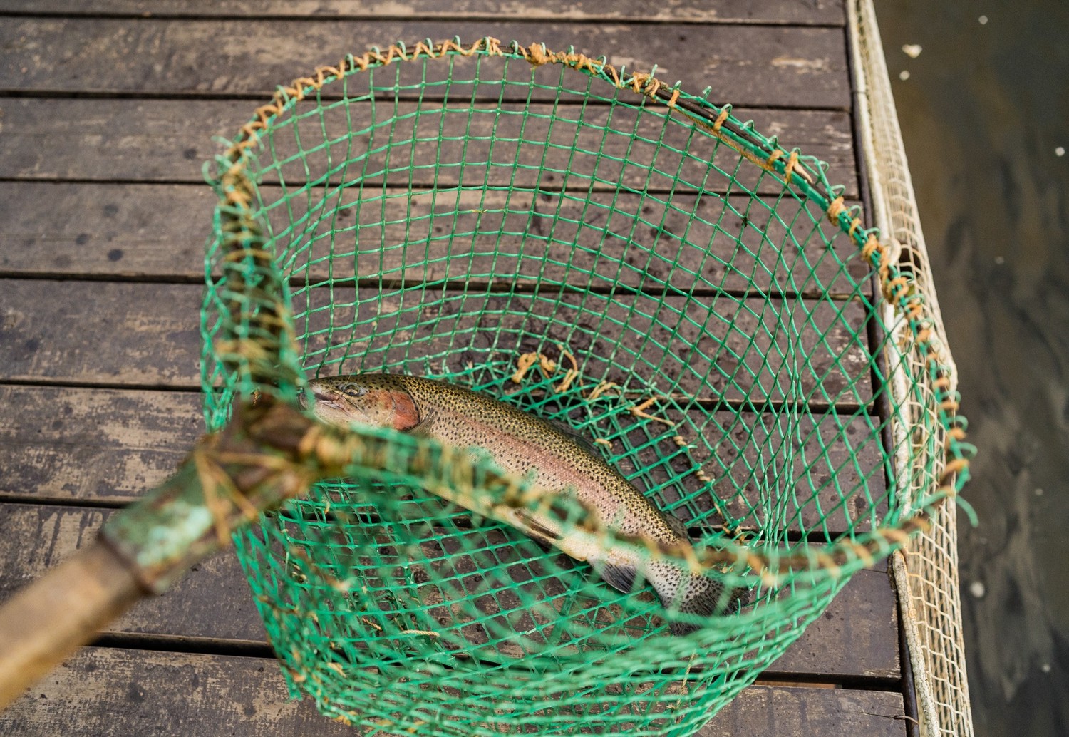 CВЕТЛАНА И АНДРЕЙ