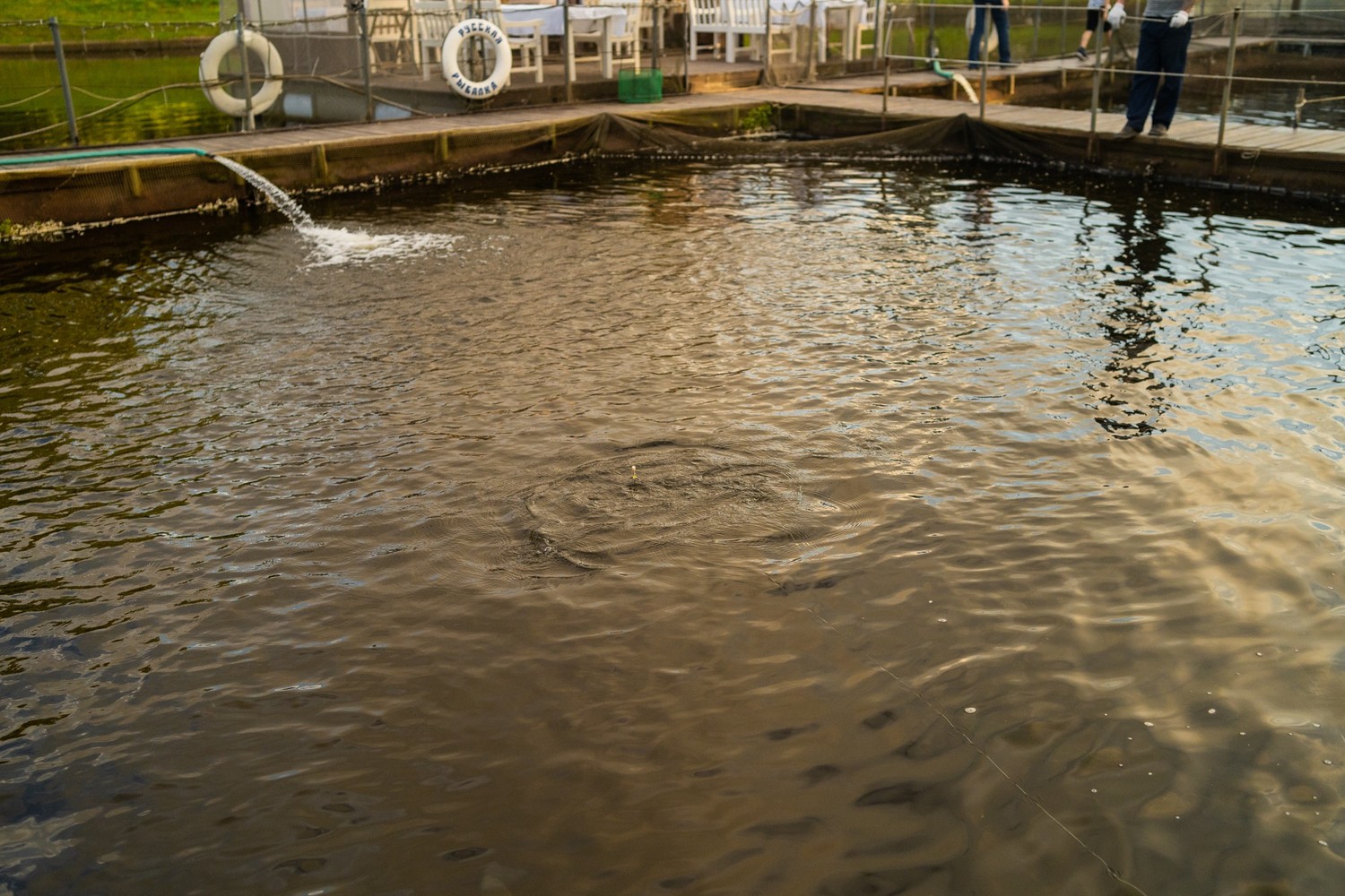 CВЕТЛАНА И АНДРЕЙ