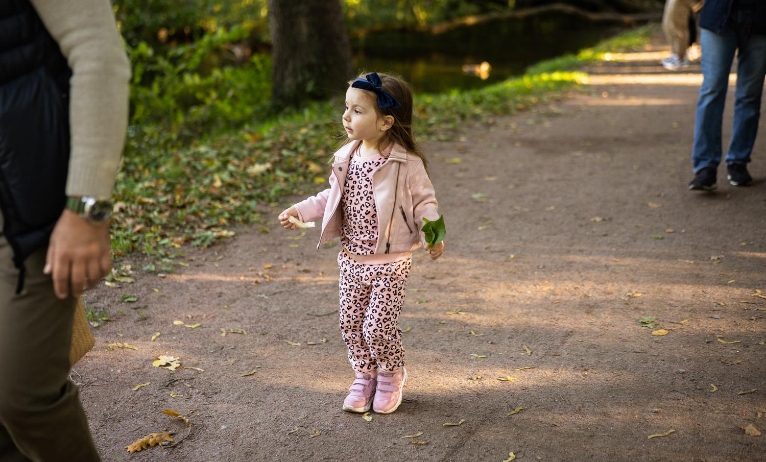 ПРОГУЛКА. ЕЛАГИН