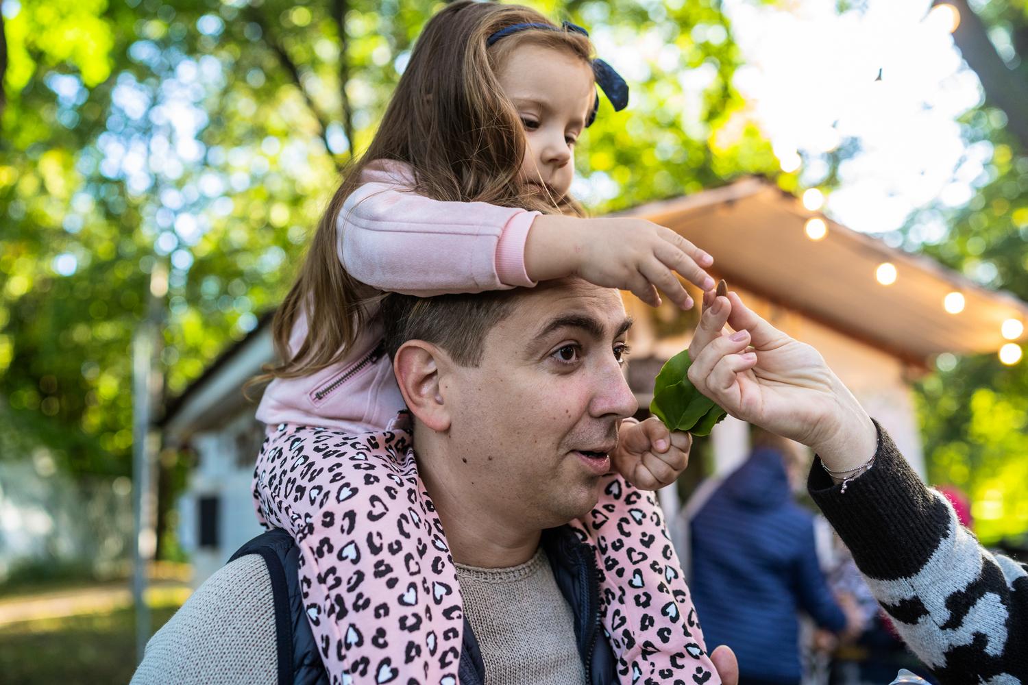 ПРОГУЛКА. ЕЛАГИН