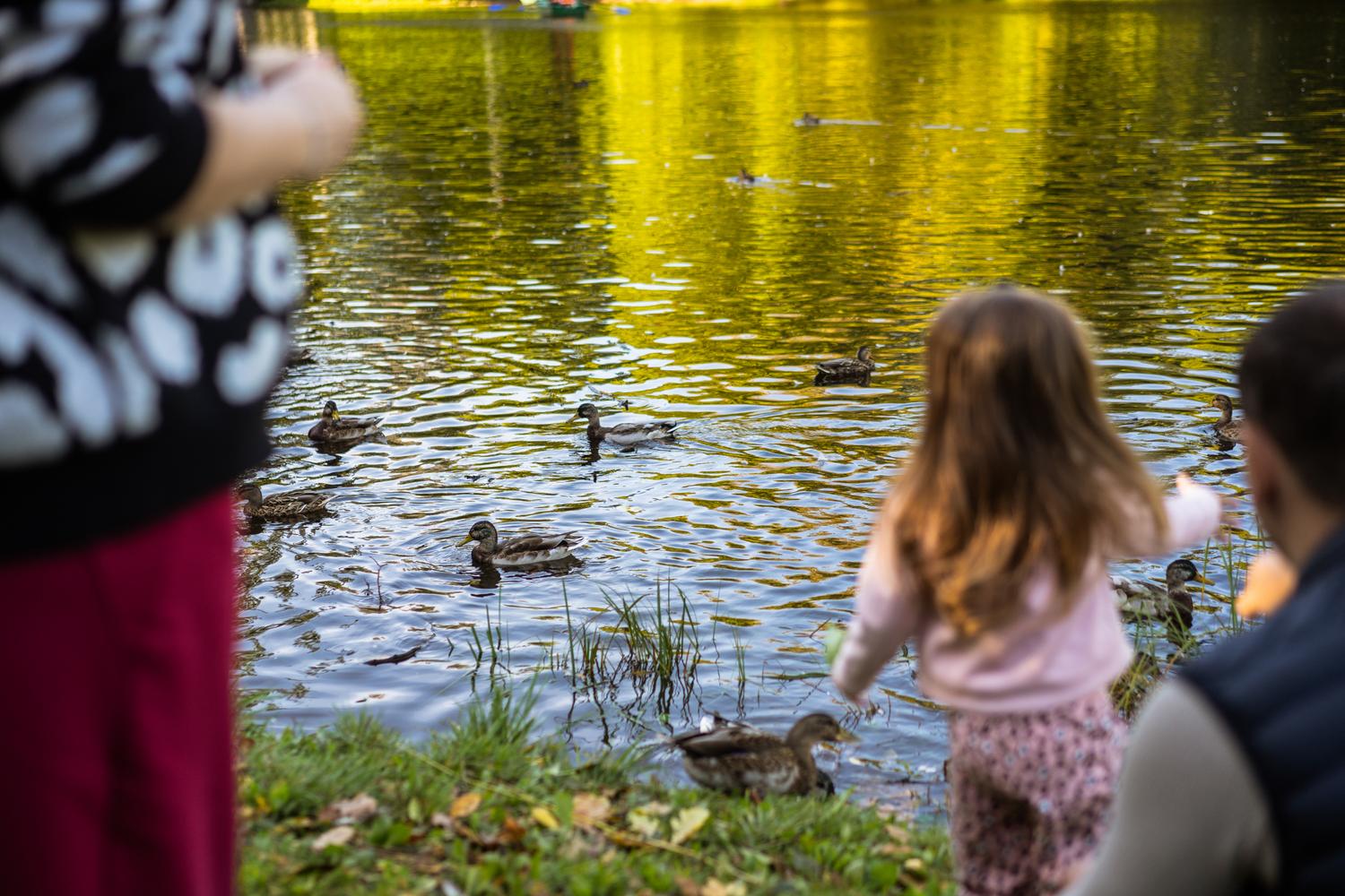 ПРОГУЛКА. ЕЛАГИН