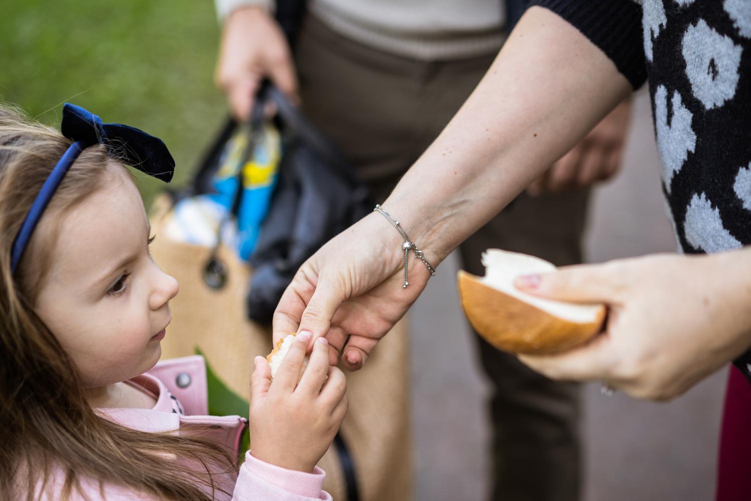 ПРОГУЛКА. ЕЛАГИН