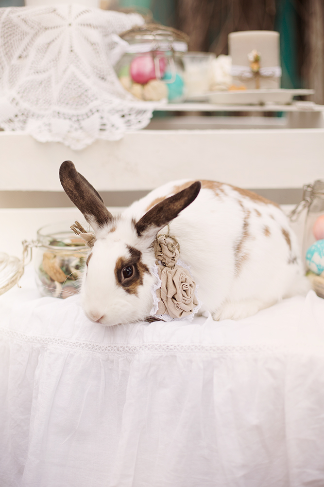 Happy Easter