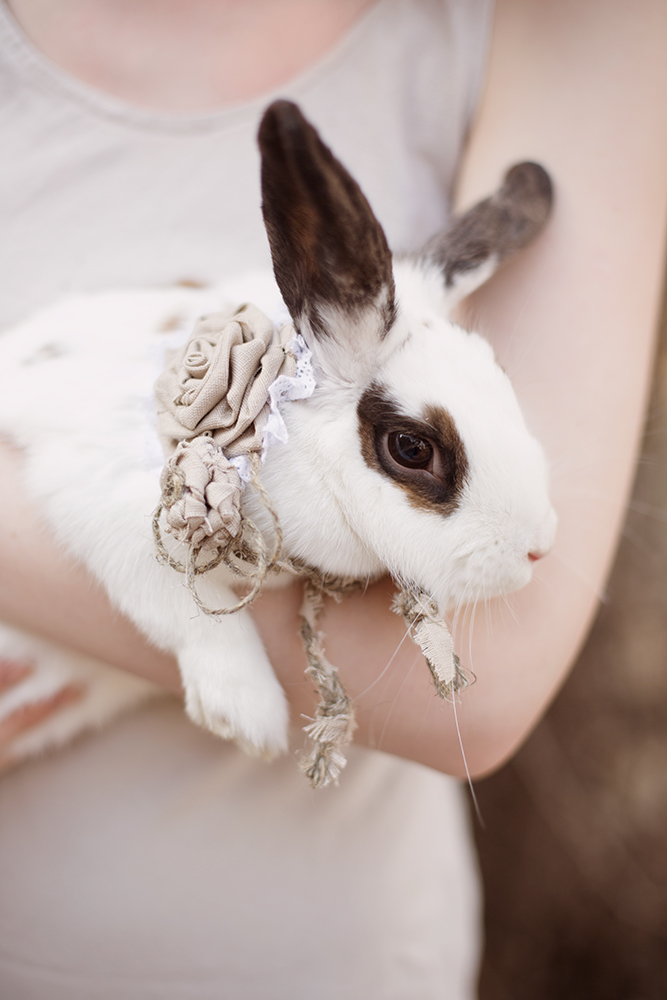 Happy Easter