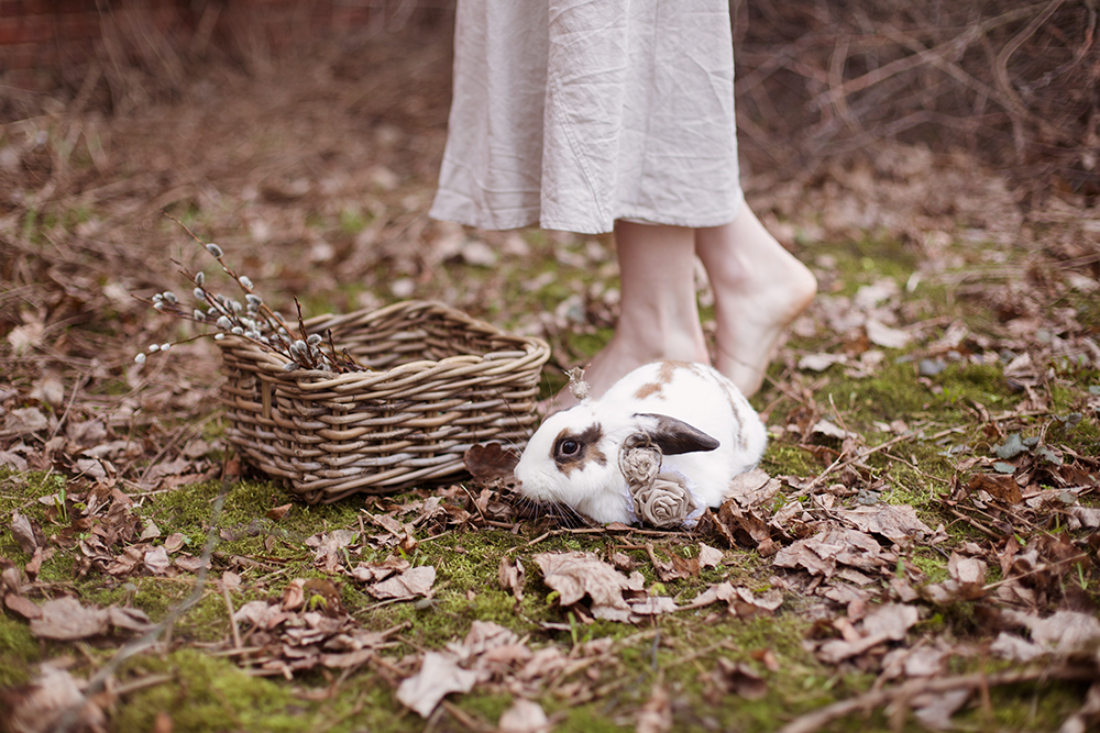 Happy Easter