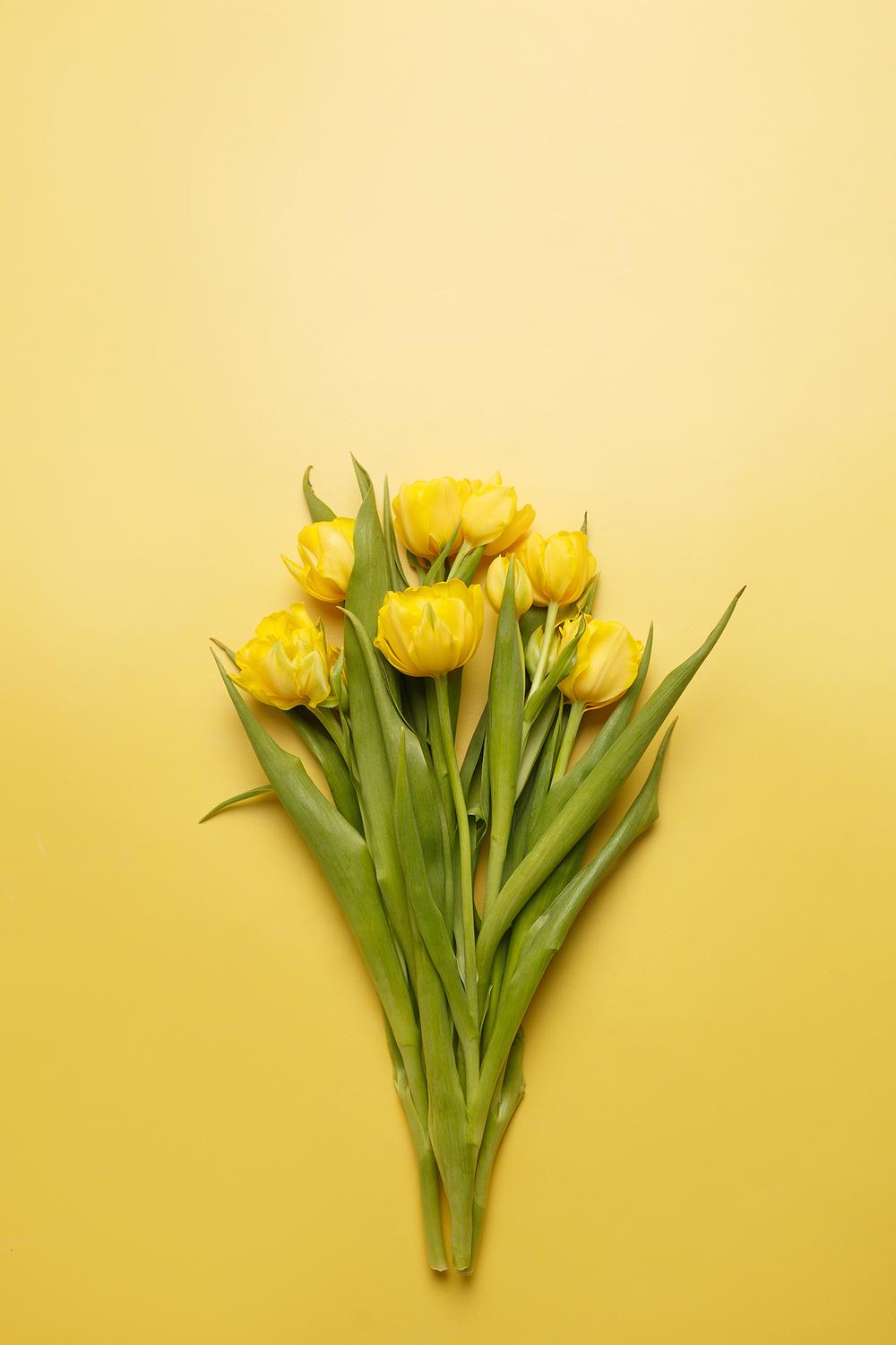 Фото для стоков