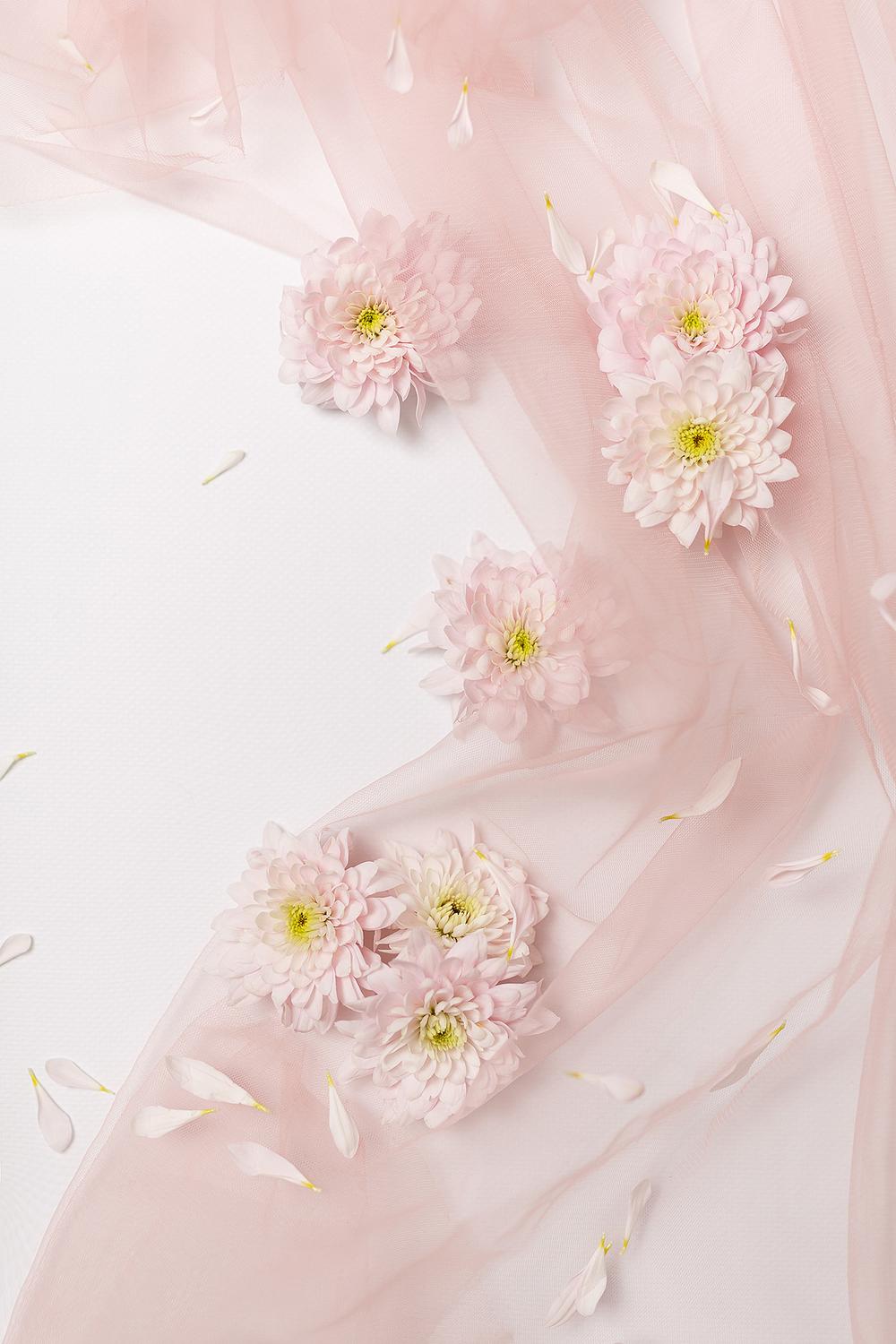 Фото для стоков