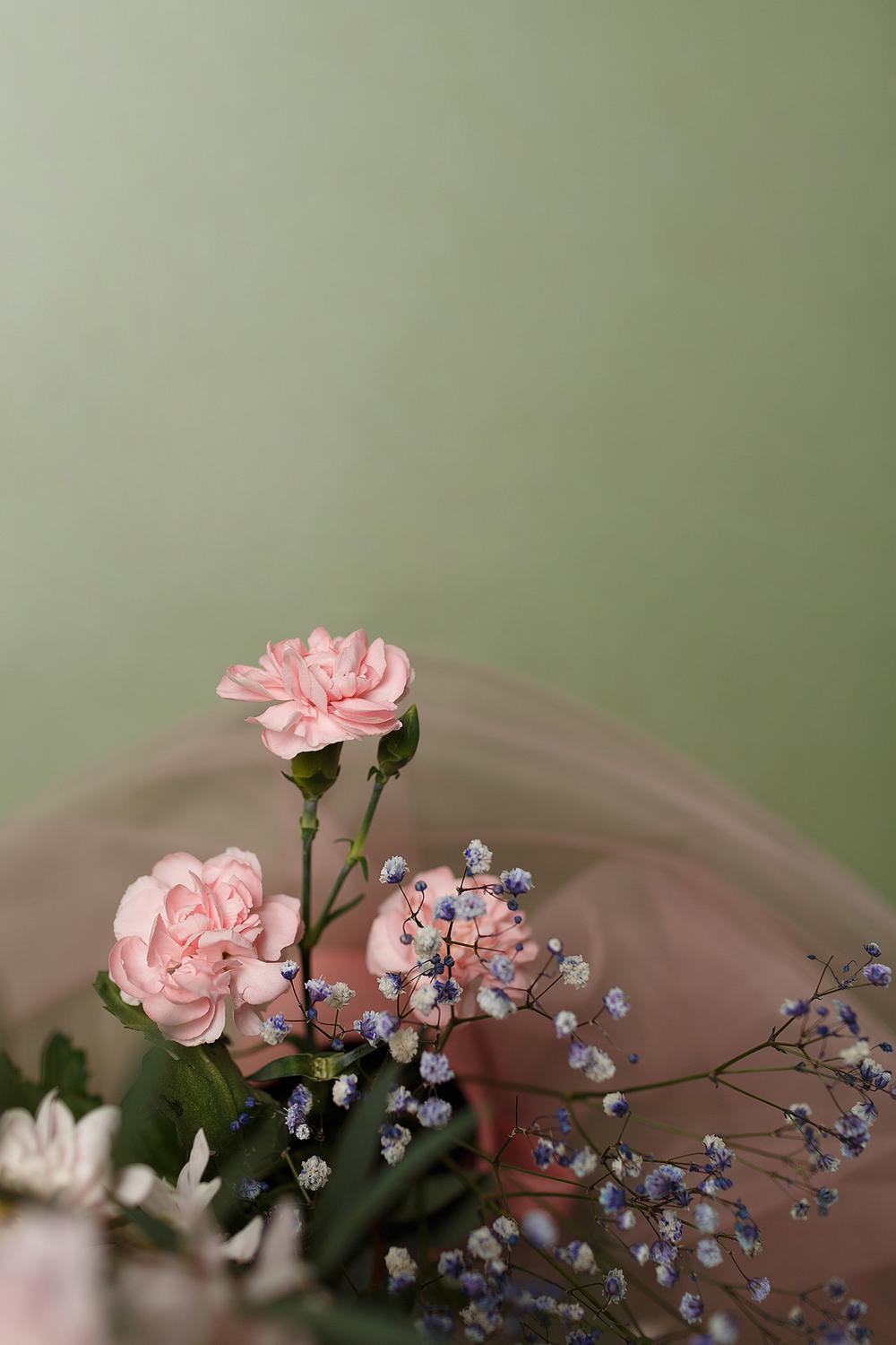 Фото для стоков