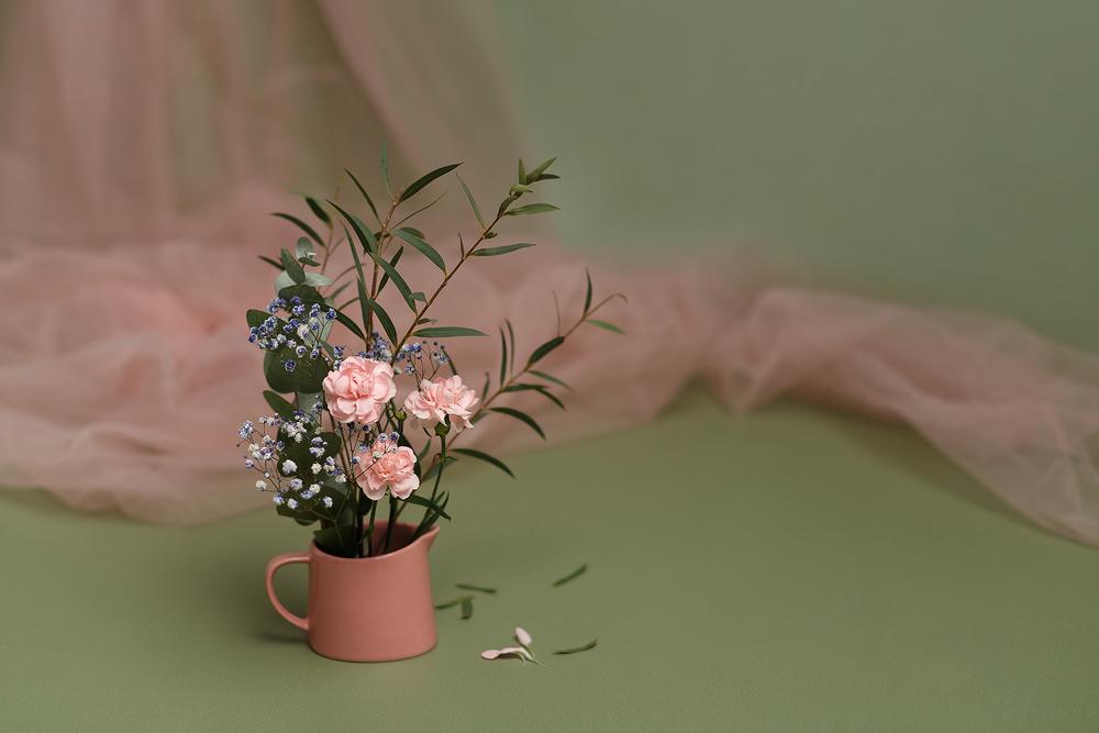 Фото для стоков