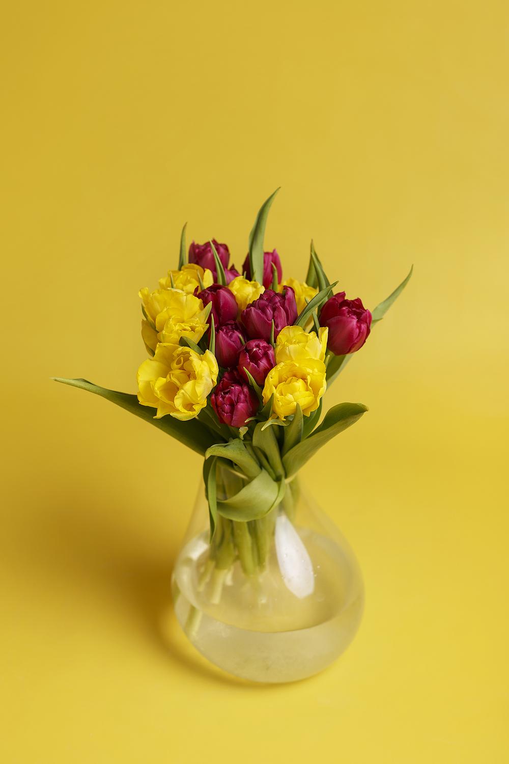 Фото для стоков