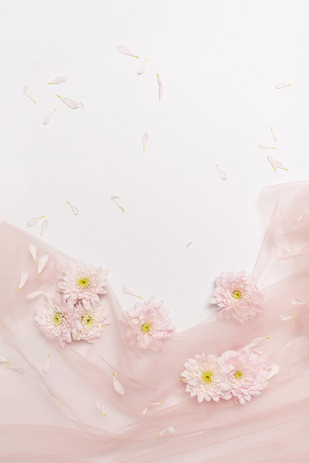 Фото для стоков