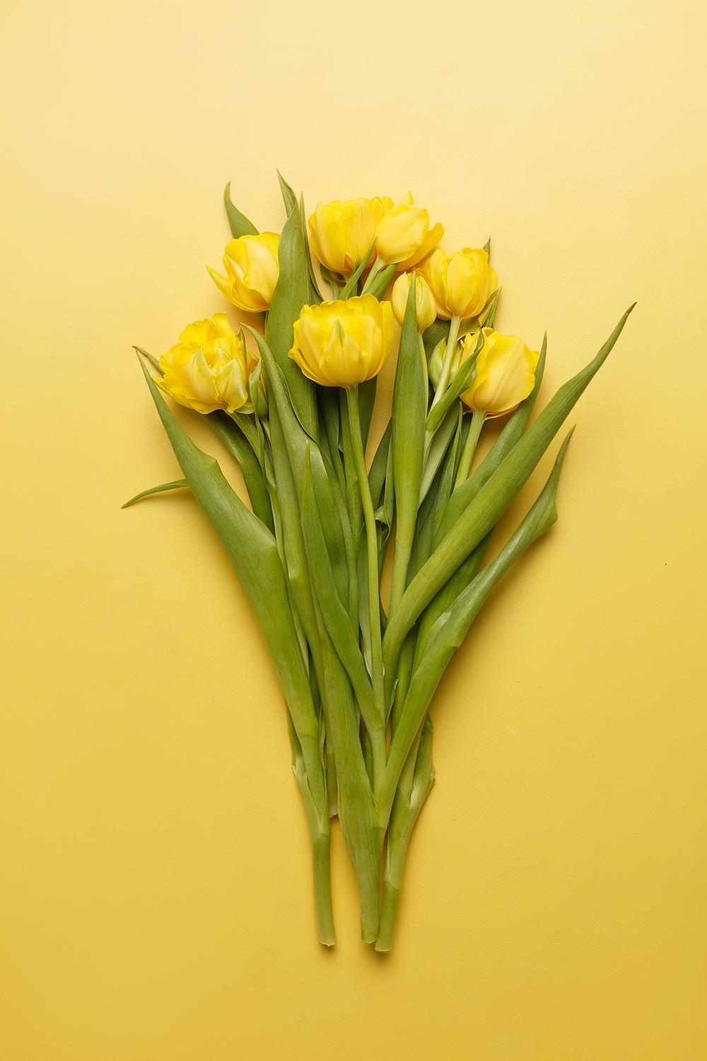 Фото для стоков