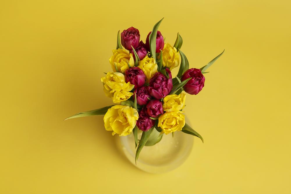 Фото для стоков