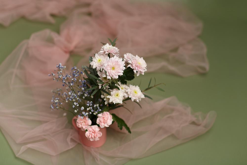 Фото для стоков