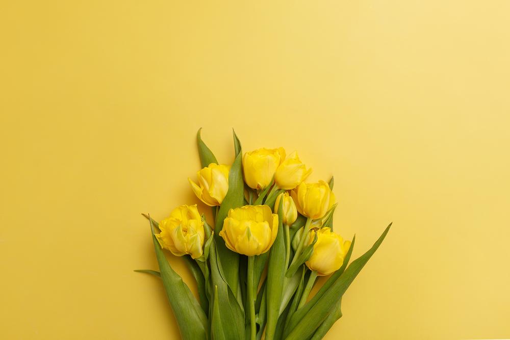 Фото для стоков