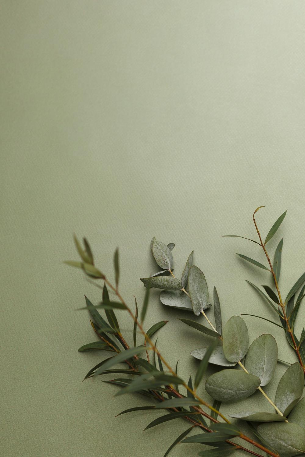 Фото для стоков