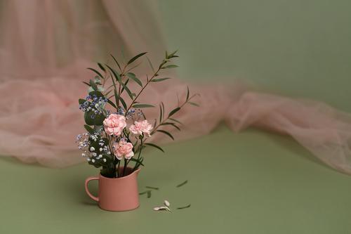 Фото для стоков