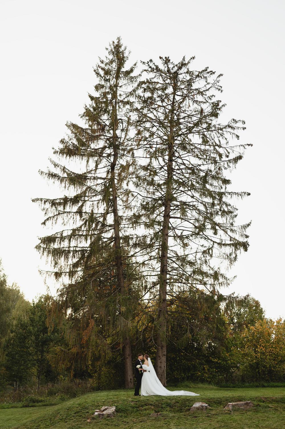 Вероника + Кирилл