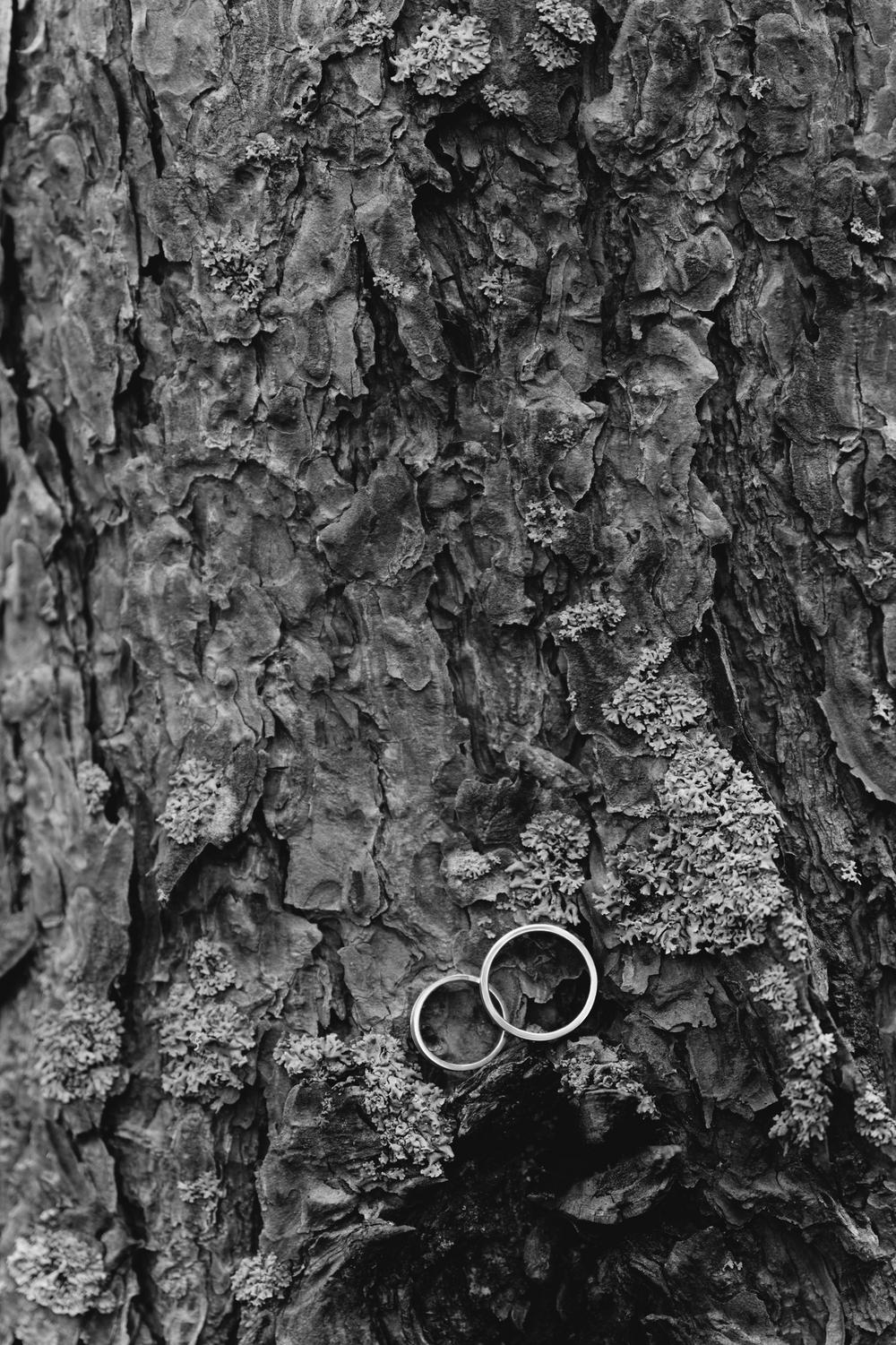 Таня + Вадим