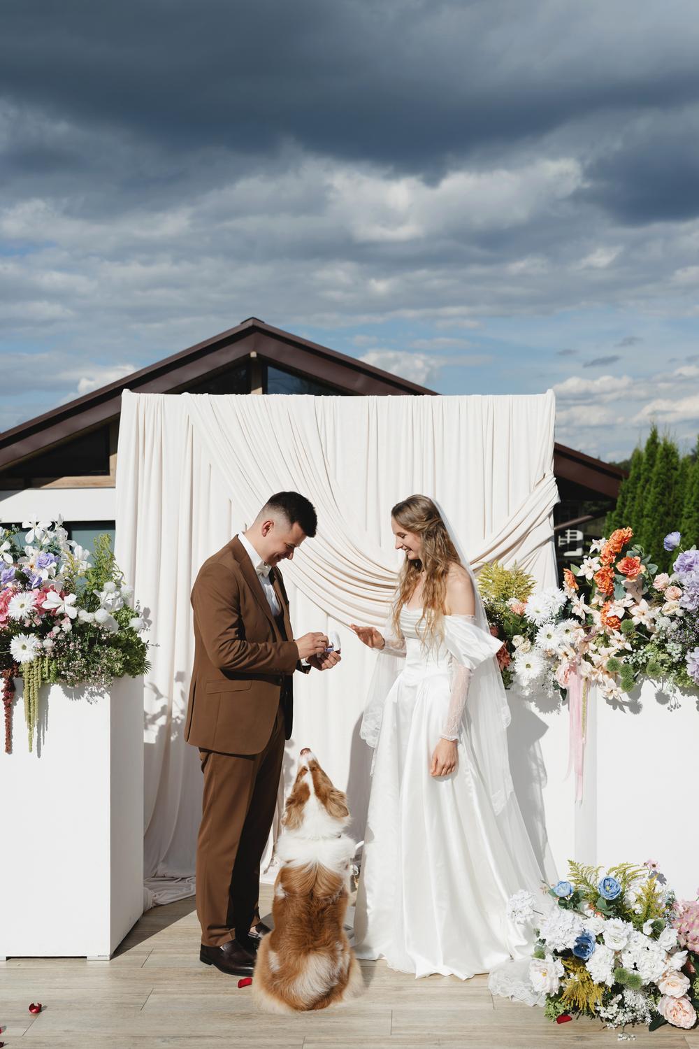 Ксюша, Илья и Мэверик