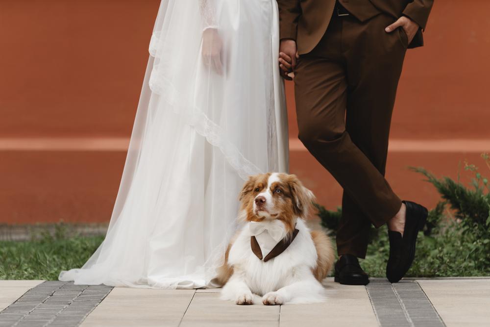 Ксюша, Илья и Мэверик