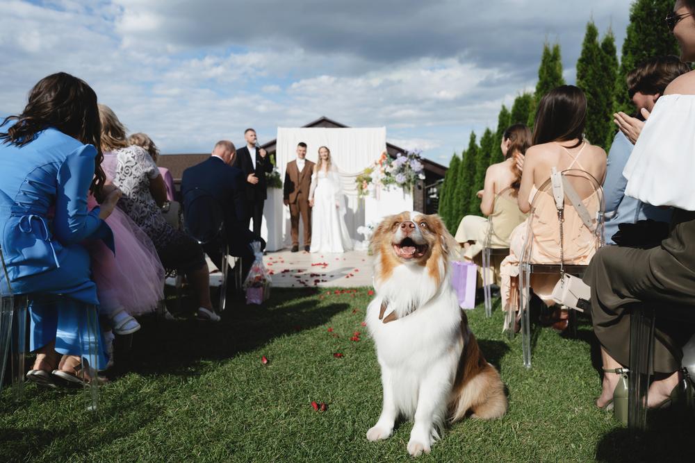 Ксюша, Илья и Мэверик