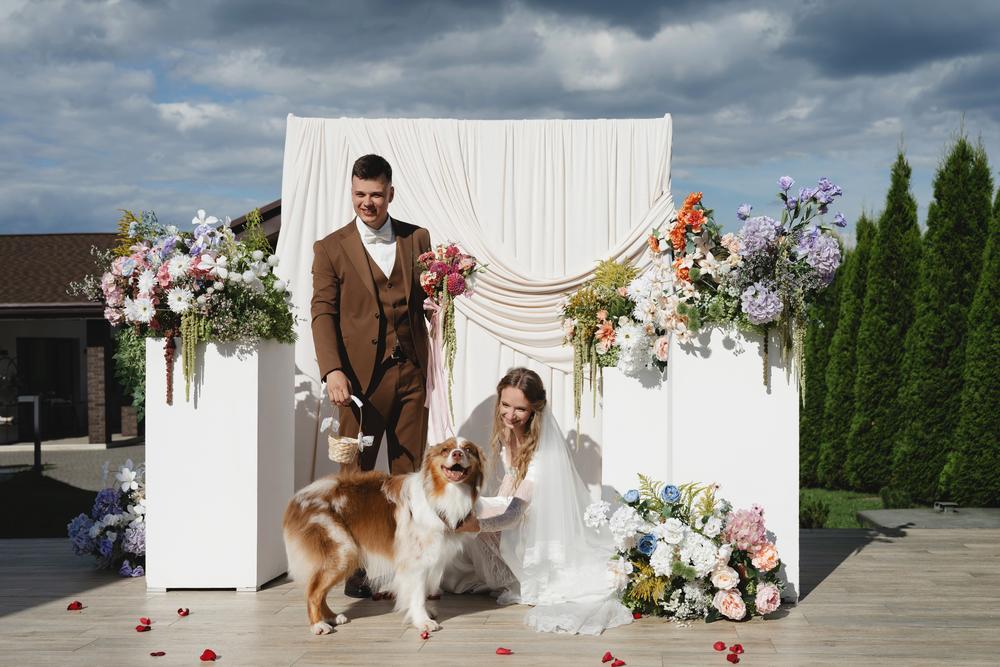 Ксюша, Илья и Мэверик