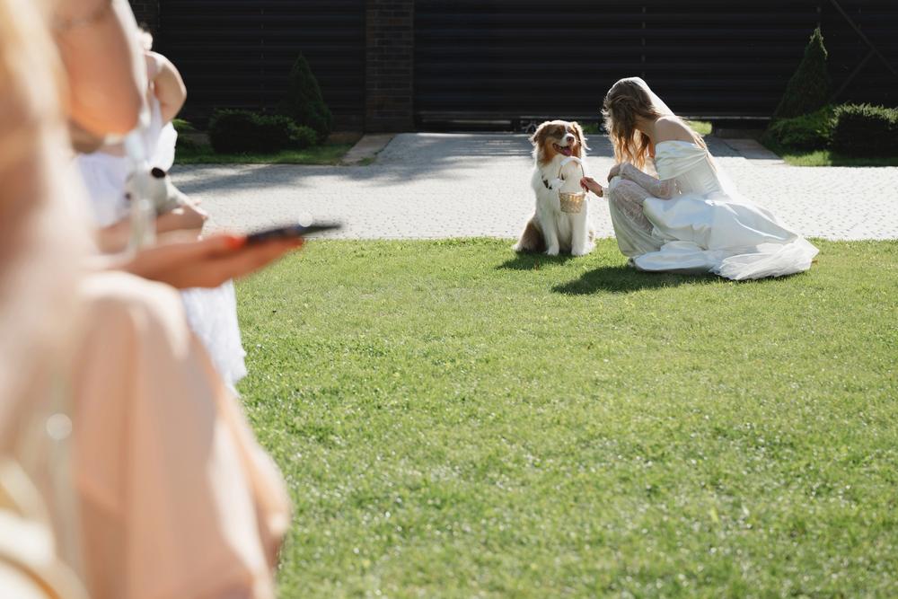 Ксюша, Илья и Мэверик