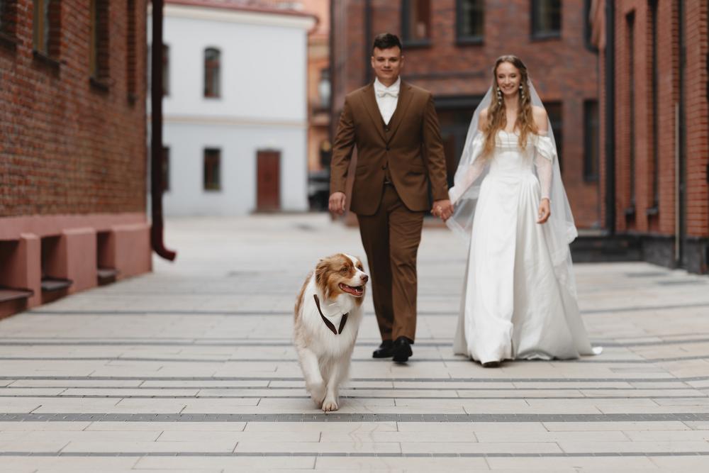 Ксюша, Илья и Мэверик