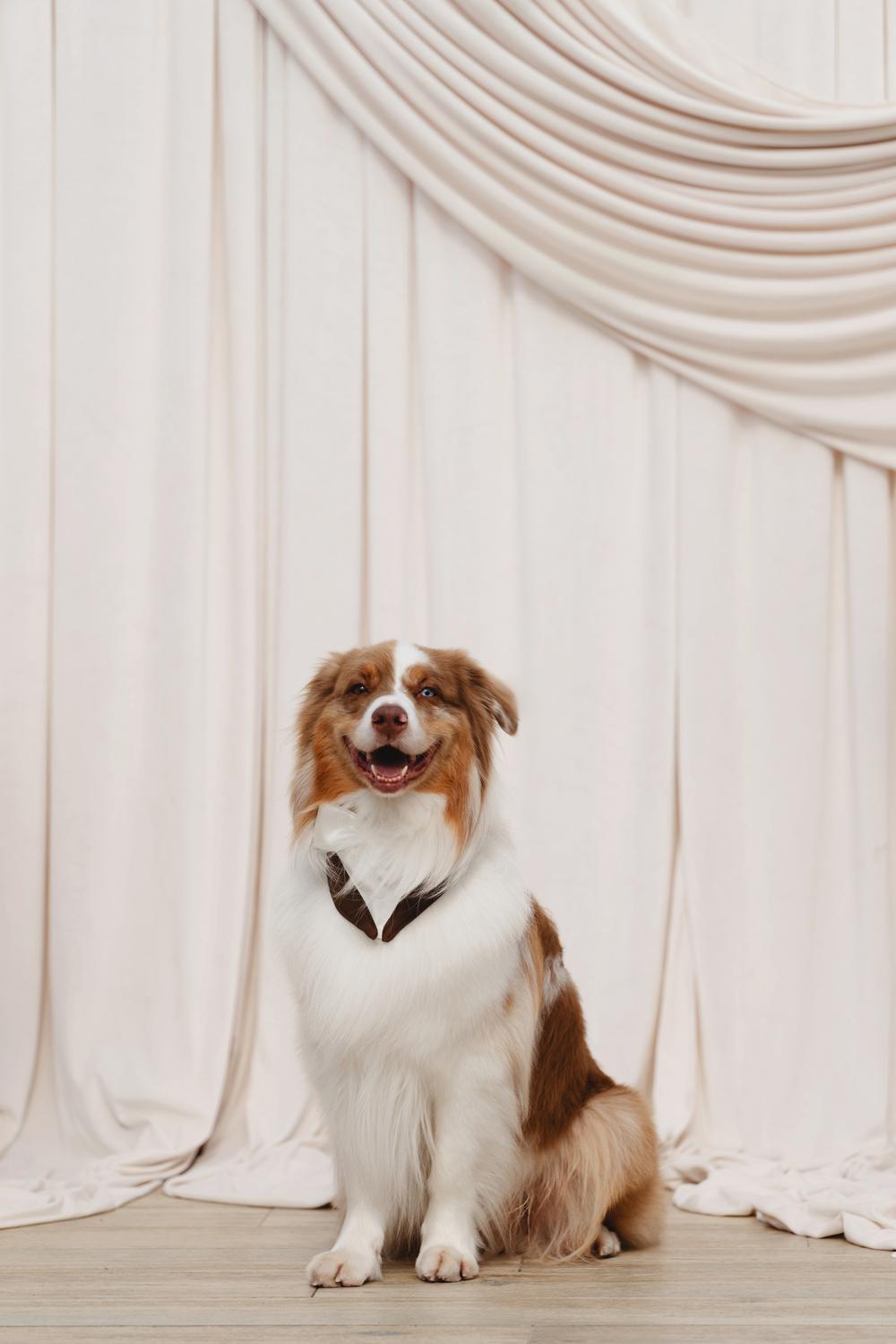 Ксюша, Илья и Мэверик