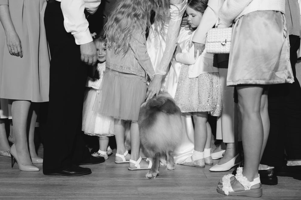 Ксюша, Илья и Мэверик