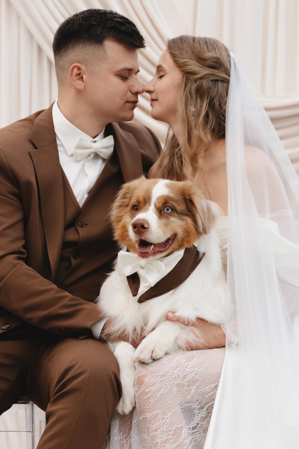 Ксюша, Илья и Мэверик