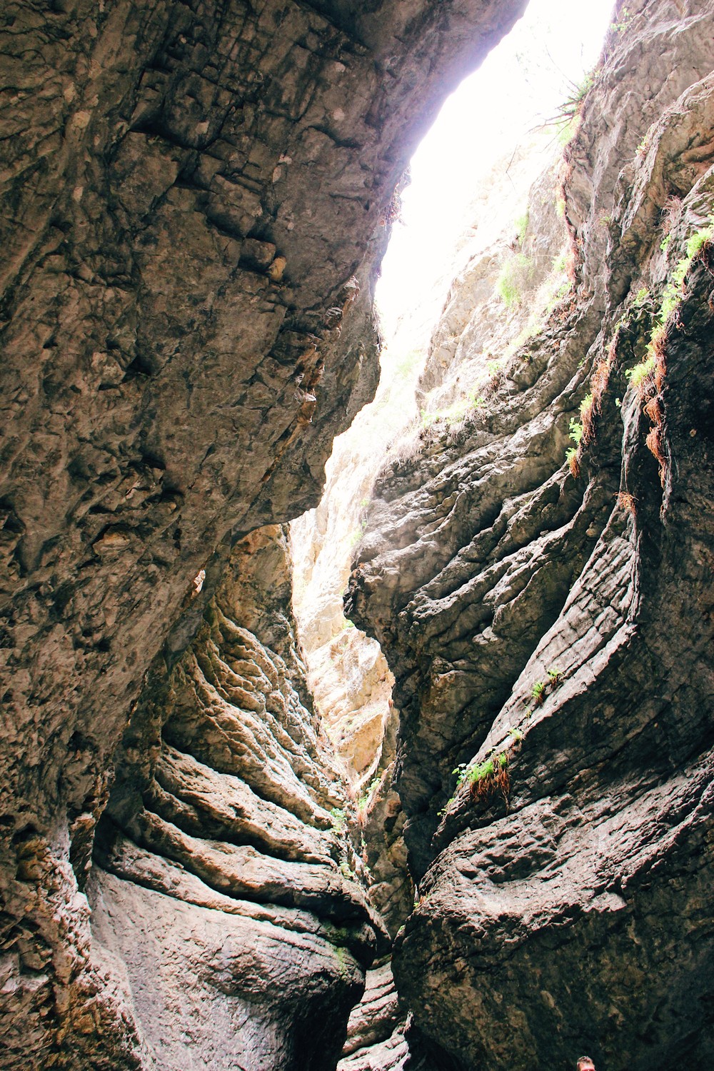 DAGESTAN