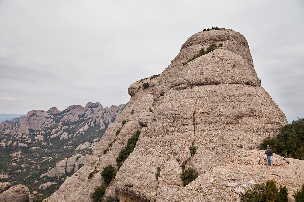 SPAIN 2015