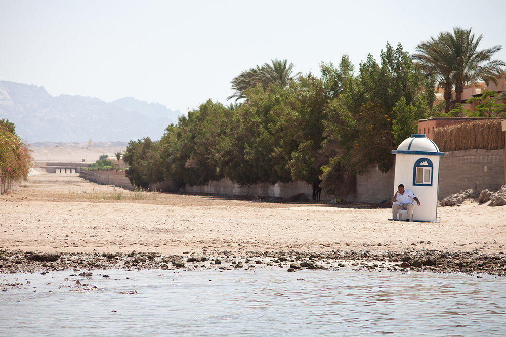 EGYPT 2012-13