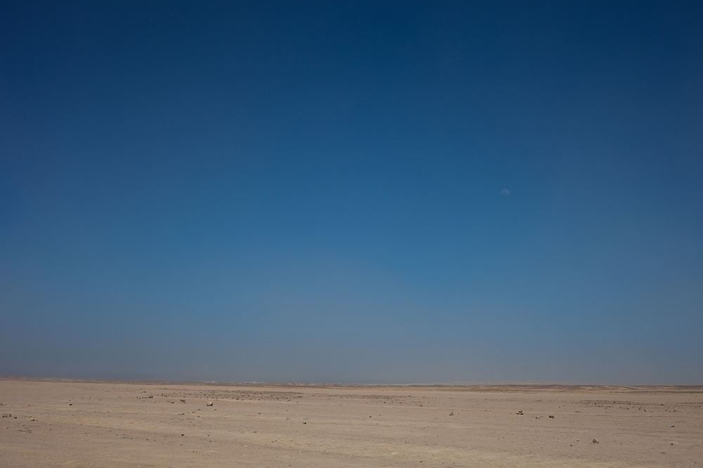 EGYPT 2012-13