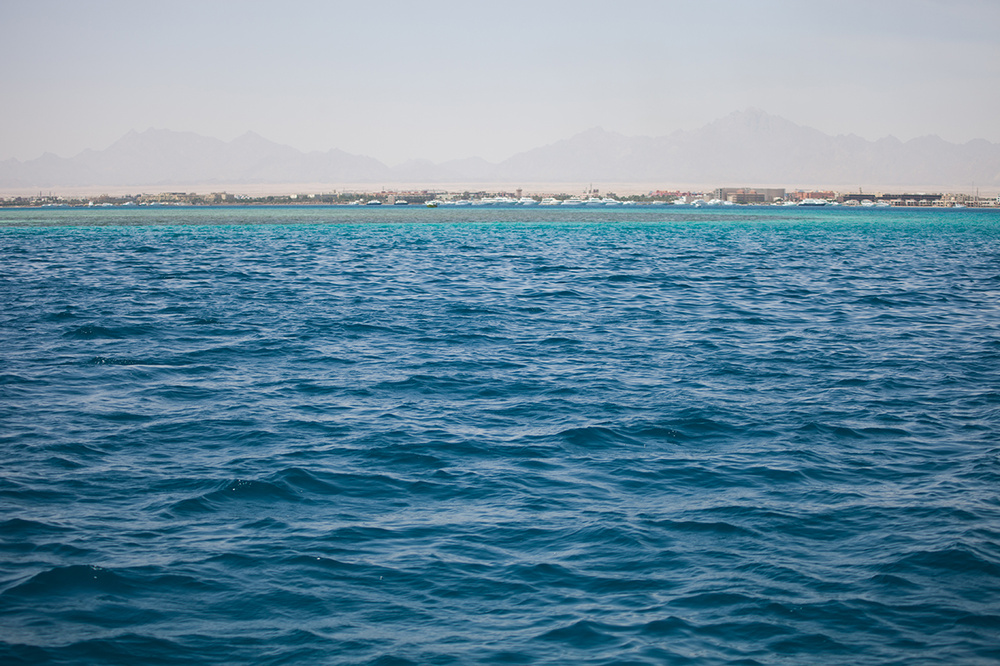 EGYPT 2012-13