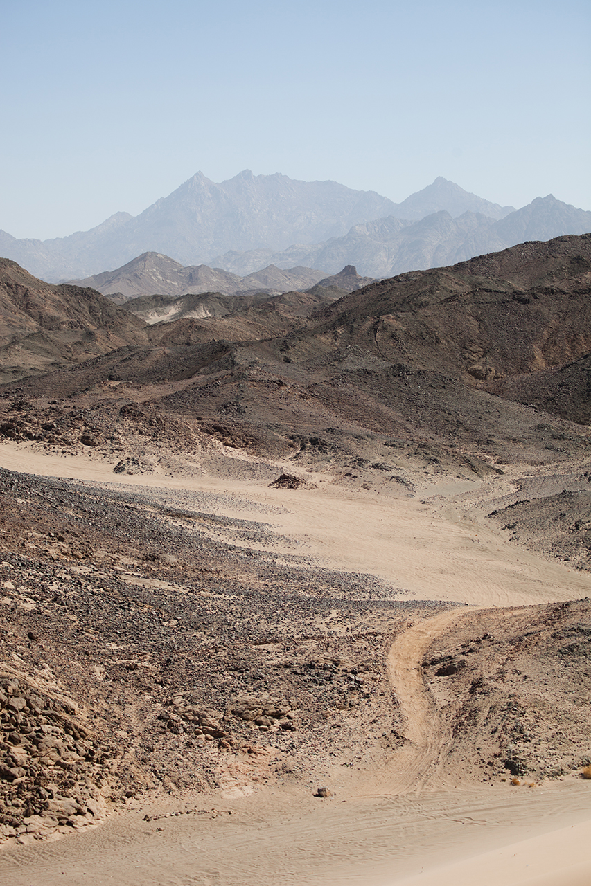 EGYPT 2012-13
