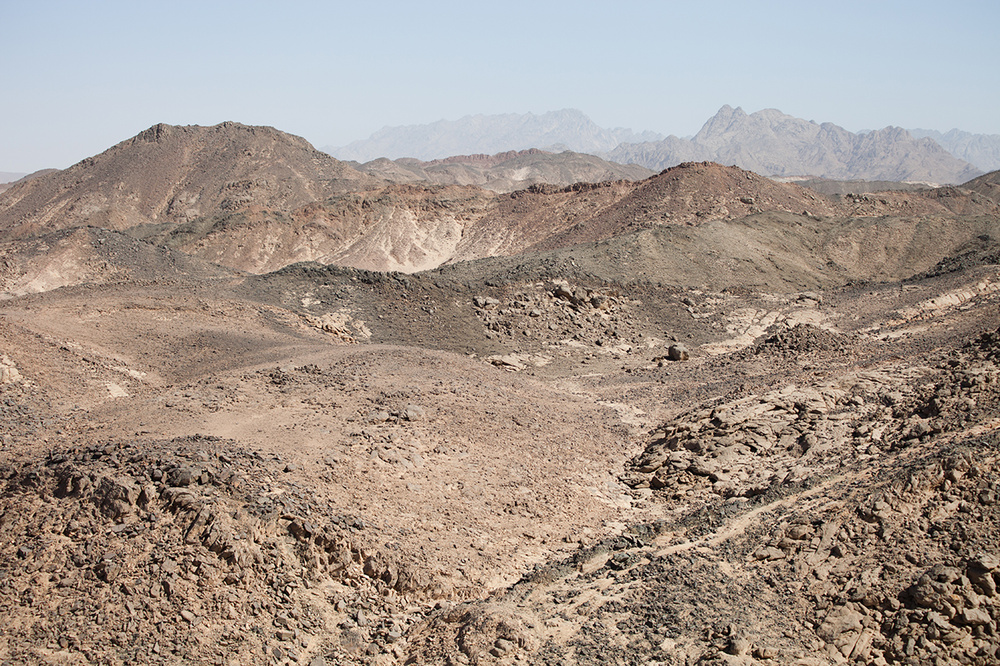 EGYPT 2012-13