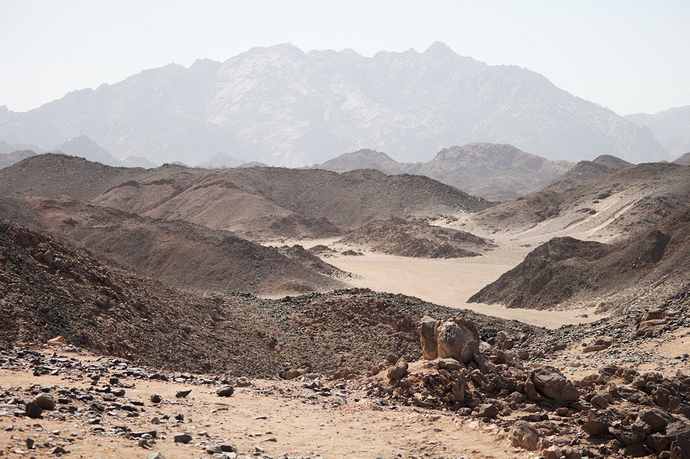 EGYPT 2012-13